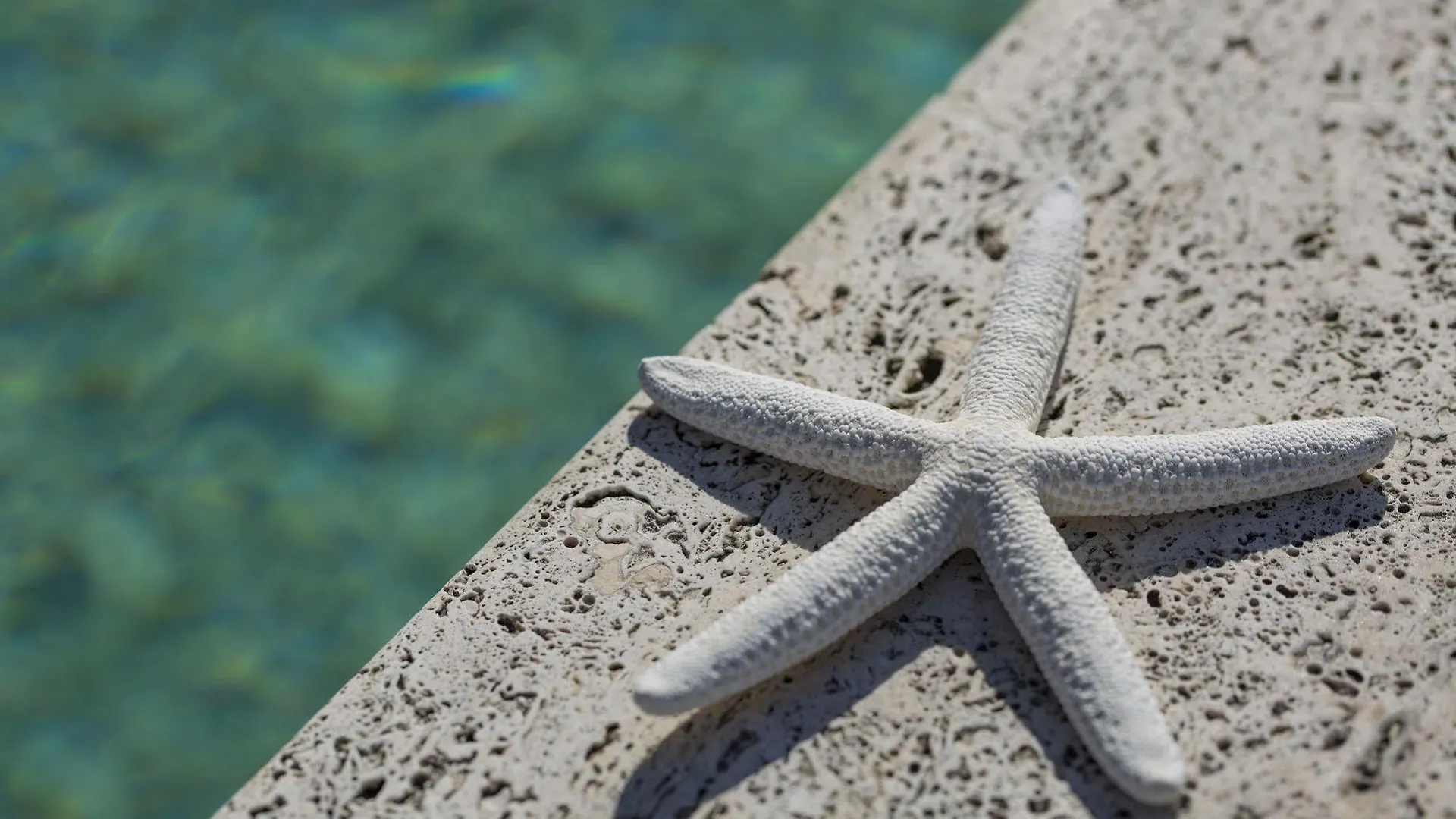 Nero D'Avorio Aparthotel & Spa Ρίμινι